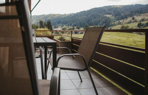 Schwarzwald Loft Panoramablick Menzenschwand - Foto 20