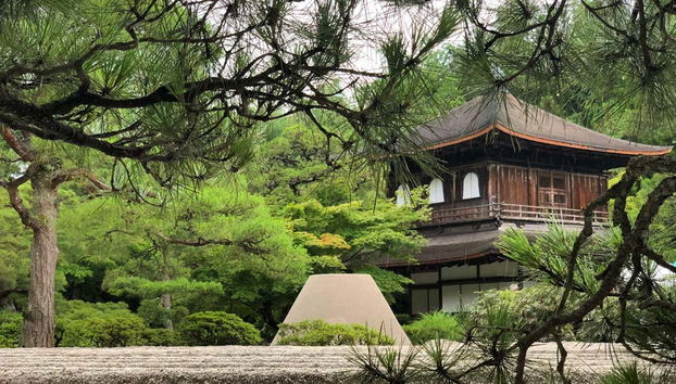 Visita guiada por Kioto - Foto 5