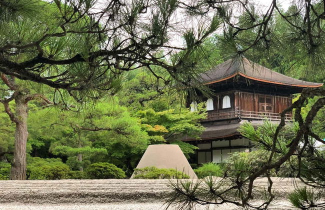 Visita guiada por Kioto - Foto 5