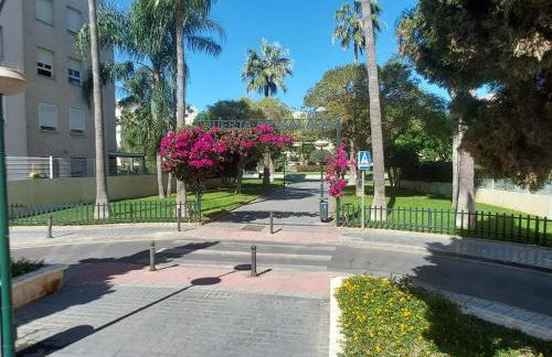 Málaga la Bella - Foto 28