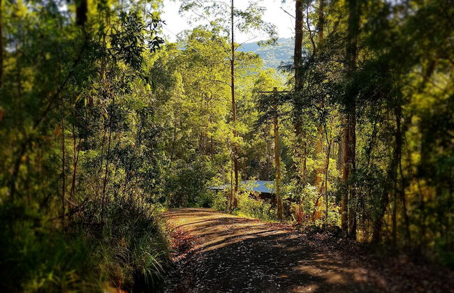 Carawirry Forest Escape - Foto 62