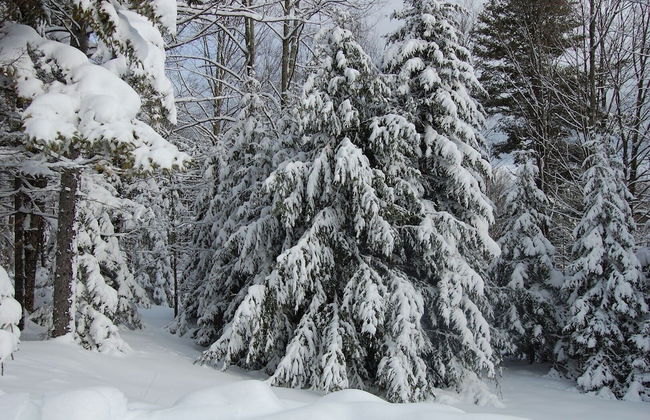 Sweet Life Brought to you by GetAway Vacations - Foto 30