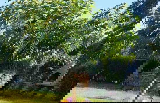 Agriturismo La Marianella - Foto 52