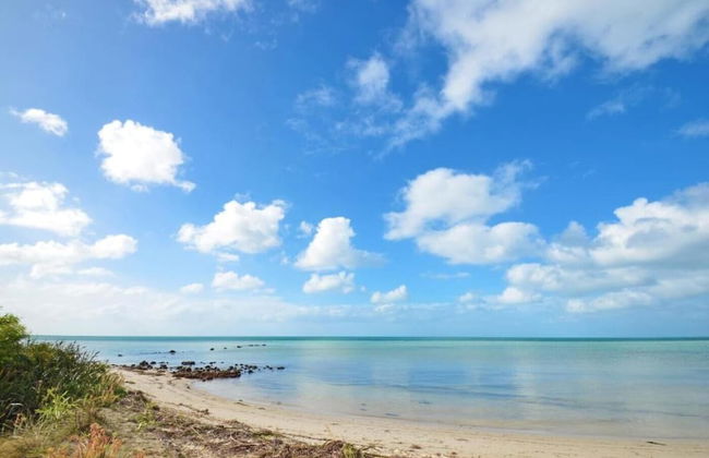 Halcyon Daze - Foto 1