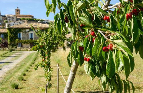 Casa Sarasa - Foto 19