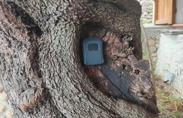 RIVIERA DOLCE VITA - Photo 16