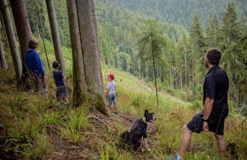 Cosy Holiday Home in Mahlberg in the Ortenau District in Baden-württemberg - Foto 73