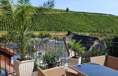 Auszeit Rheingauer Rosengarten - Photo 37