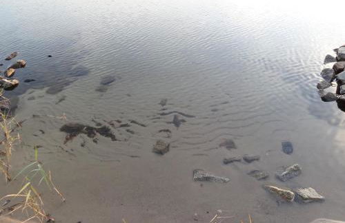 Ferienhof Kchischowka - Foto 14