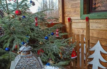 Dorina hiža - Foto 63