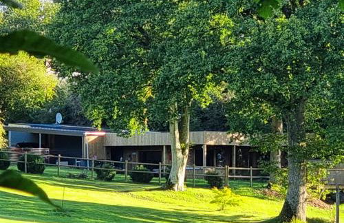 Le terrier aux merveilles - Foto 19