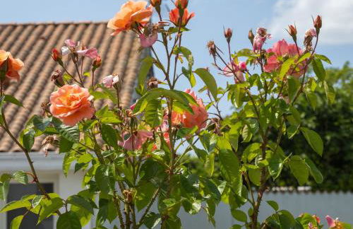 LA CASA DE BABOU - Foto 16