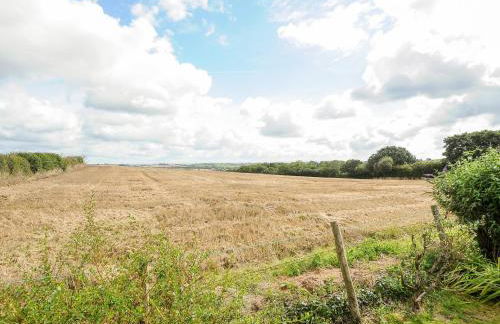 The Old Forge - Foto 28