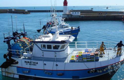 Maison spacieuse avec jardin à Plogoff - Foto 22