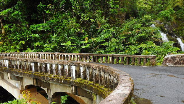 Mahana 1008 - Foto 3, Habitación