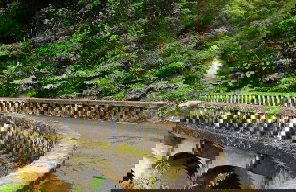 Island Sands 210 - Foto 47