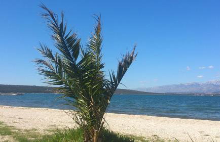 Apartmani Juliana - Photo 13