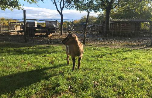 Agriturismo La Montina - Foto 39