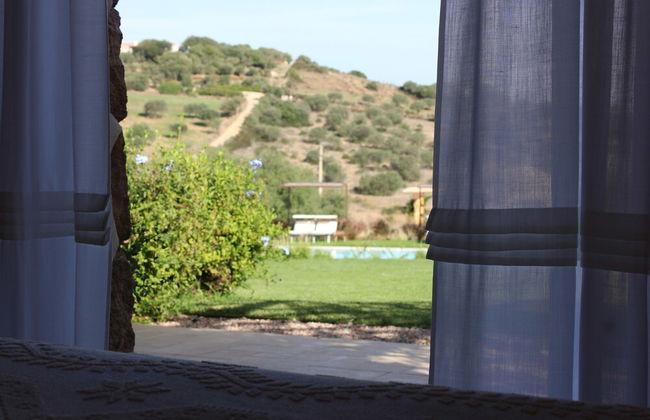 Albero Capovolto Country & Sea - Foto 12