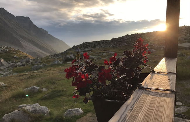 Apartments Hohenberger - Foto 5