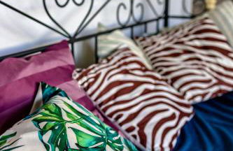 Vivienda rural La Monería - Foto 50