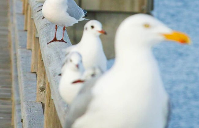 Ferienhaus Waldblick - Foto 19