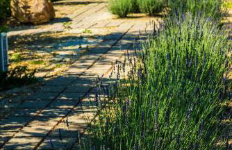 Agriturismo Poggio Di Maremma - Foto 34