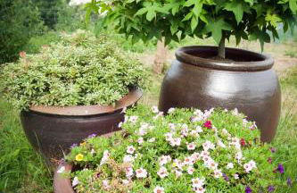 Agroturismo Artola - Foto 37