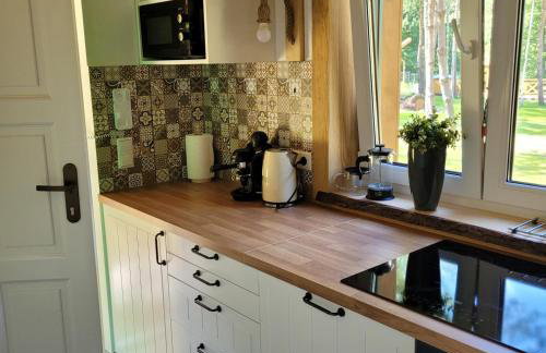 Leśna Kryjówka domki w lesie - Foto 46