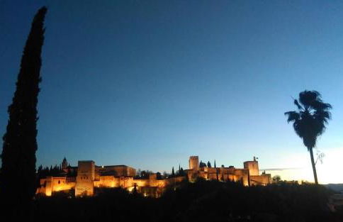 Tropical Studio - Foto 55