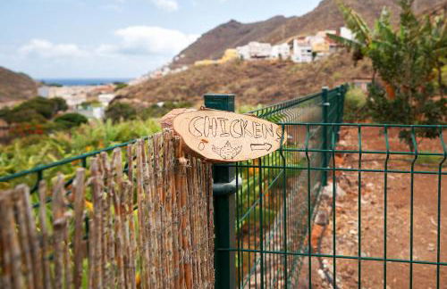 Finca Ecológica Quinta Los Tizones - Foto 47