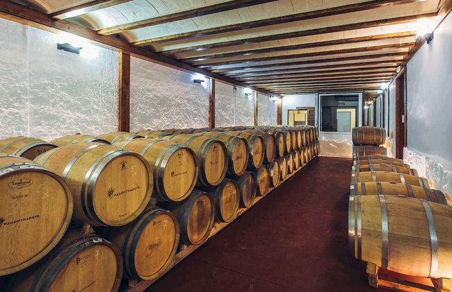 Visita à adega Pago de Tharsys - Photo 4