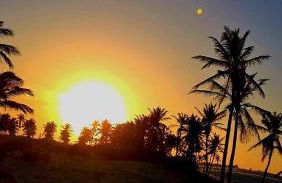 Ondas do Preá - 700m da Praia - 12 km de Jeri - Foto 32