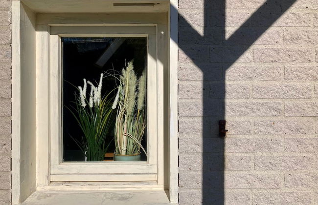 6pers House With a Private Terrace and Garden by the Lauwersmeer - Photo 41