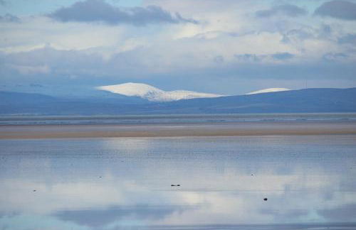 Dolphin House - Foto 55