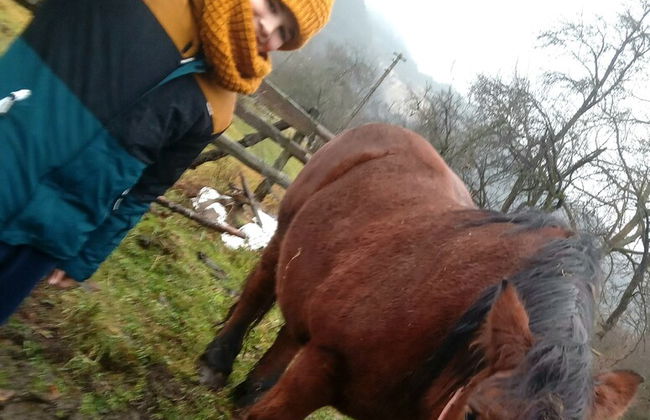 Room in Guest Room - Healthy Retreat Holiday in Mountain - Foto 35