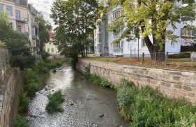 Ferienwohnung Gottleubapark Apartment II - Photo 12