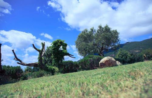 Agriturismo Il Ginepro - Foto 22