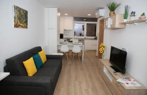 Apartamentos turisticos Chans do Carrasco S L U - Foto 4