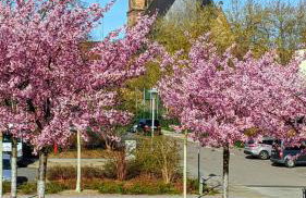 Gäste- und Ferienwohnung Gläser Zwickau - Foto 44