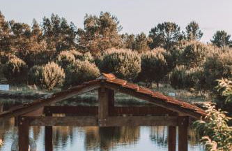 Casas da Horta - Photo 11