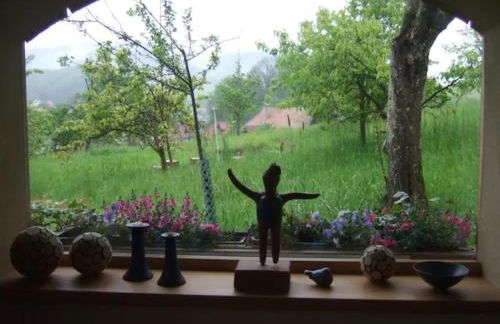 Sonniges-naturnahes-Schwarzwald-Ferienhaeuschen - Foto 12