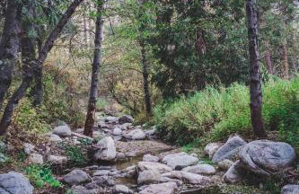 Wildland Aerie at Treehaus with Creekside Hot Tub Pets OK - Foto 69