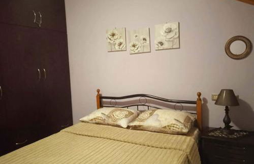 Guest house Elatochori - Foto 14