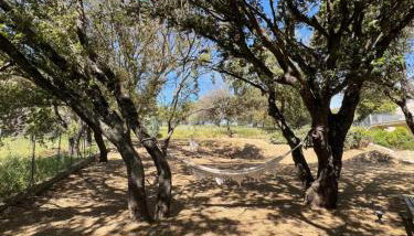 Résidence Casa Cintrone - Foto 2