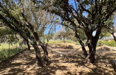 Résidence Casa Cintrone - Foto 1