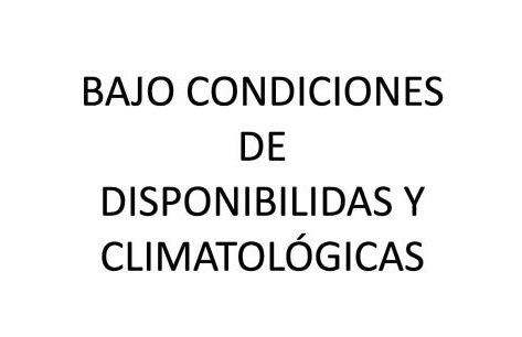 Lo Segador - Foto 51