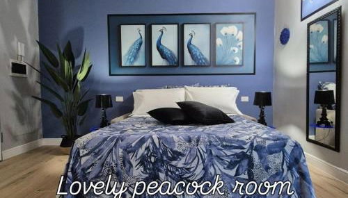 Dream Apartments alloggio turistico - Foto 2