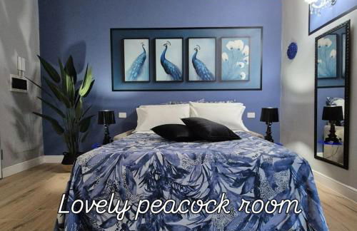 Dream Apartments alloggio turistico - Foto 2