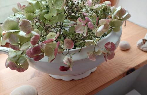 "NordWest" Ferienwohnung - Foto 9